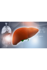 fattyliverdiseases