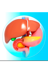 fatty liver disease