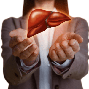 fatty liver disease