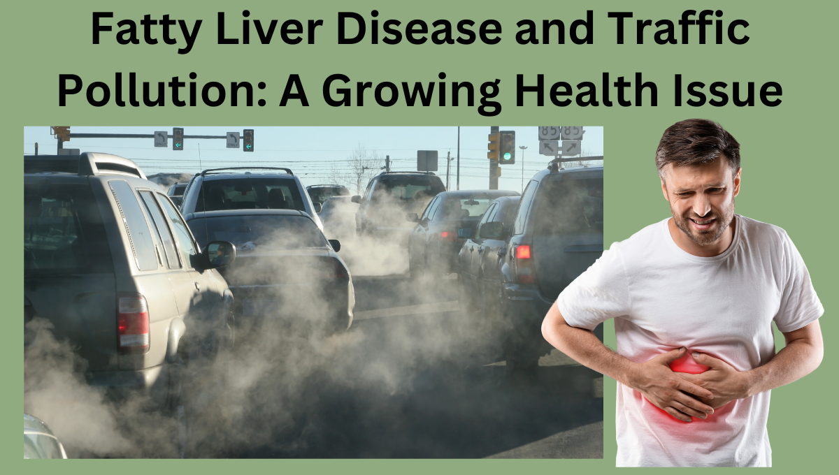 Fatty-Liver-Disease-and-Traffic-Pollution-A-Growing-Health-Issue.