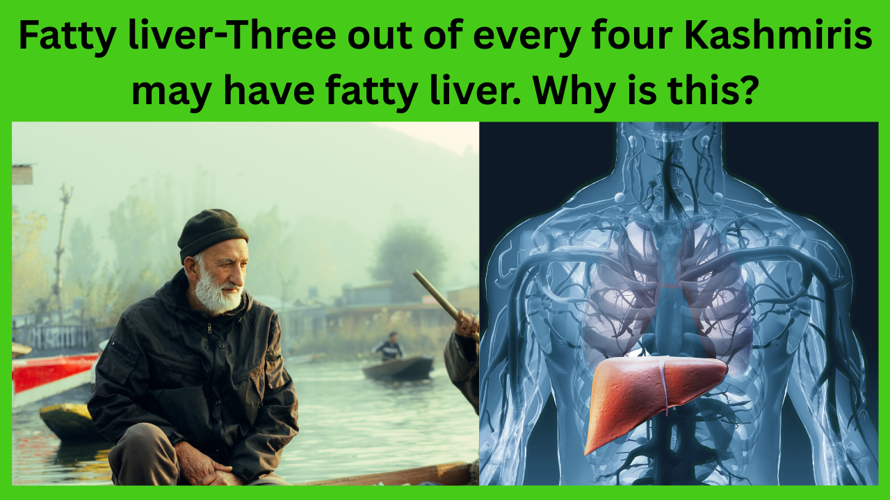 Fatty-liver-Three-out-of-every-four-Kashmiris-may-have-fatty-liver.-Why-is-this.
