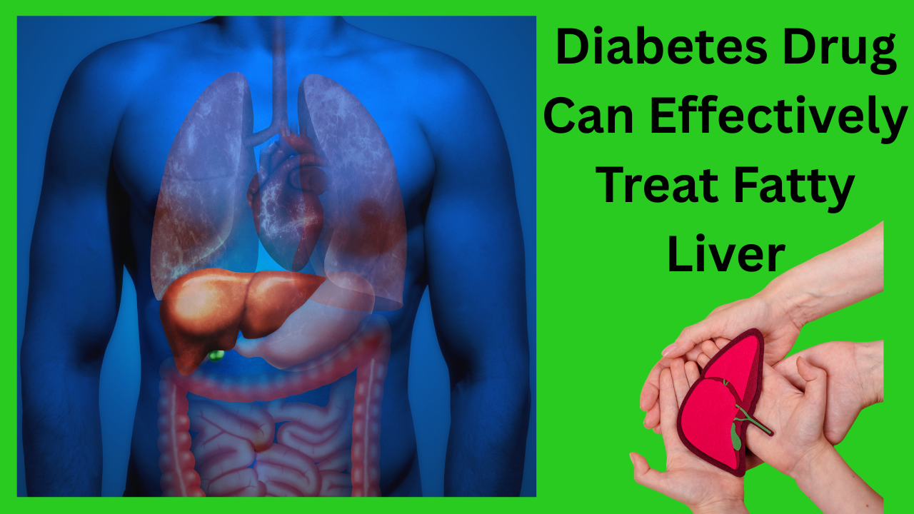 Diabetes-Drug-Can-Effectively-Treat-Fatty-Liver.